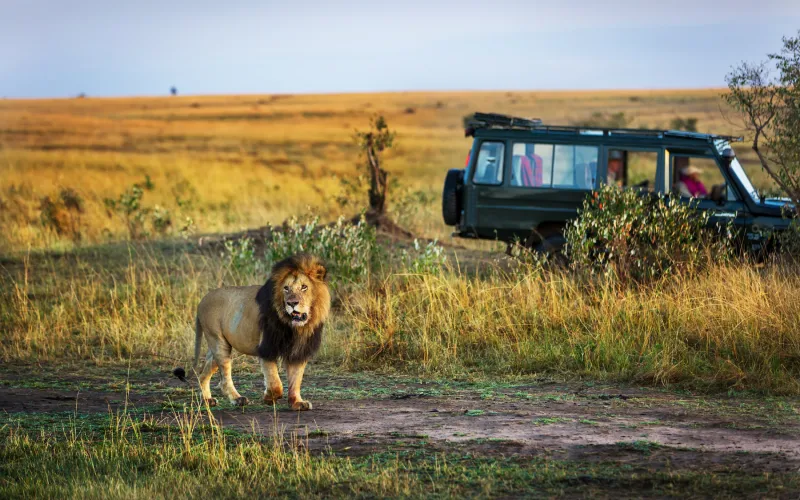 Discover Kenya