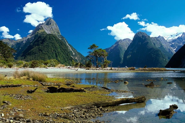 North South Discovery New Zealand
