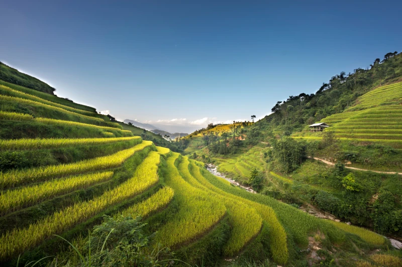 Budget Tour Package – Bali