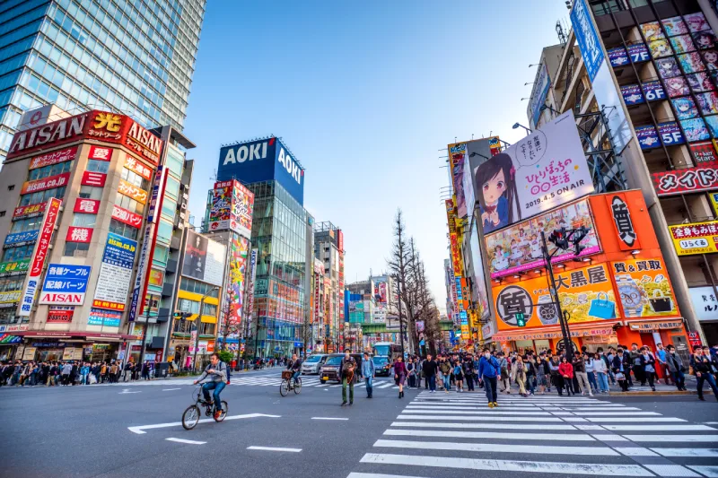 Sakura Moments – The Ultimate Cherry Blossom Experience