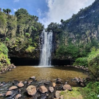 6 Days of Pure Magic: Your Ultimate Front-Row Seat to the Wilds of Kenya